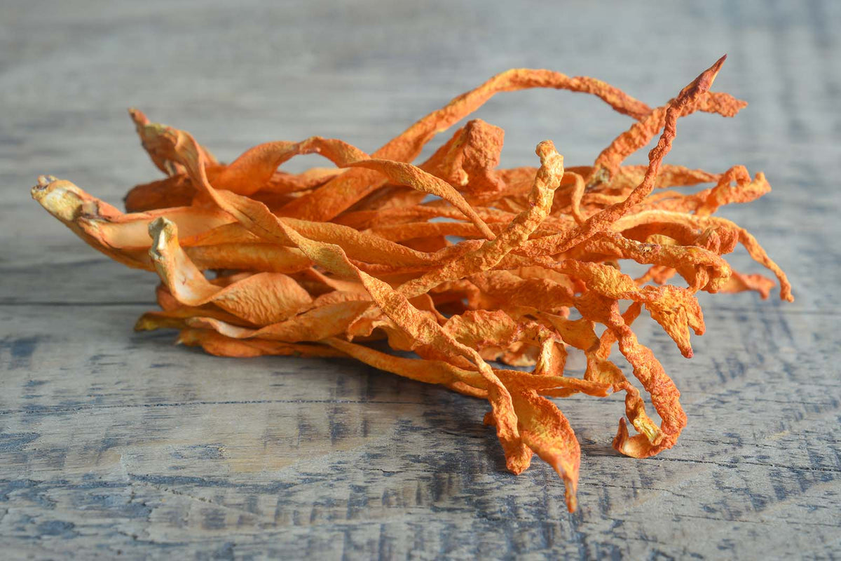 Cordyceps: Wirkungsvoller Pilz und seine gesundheitlichen Vorteile
