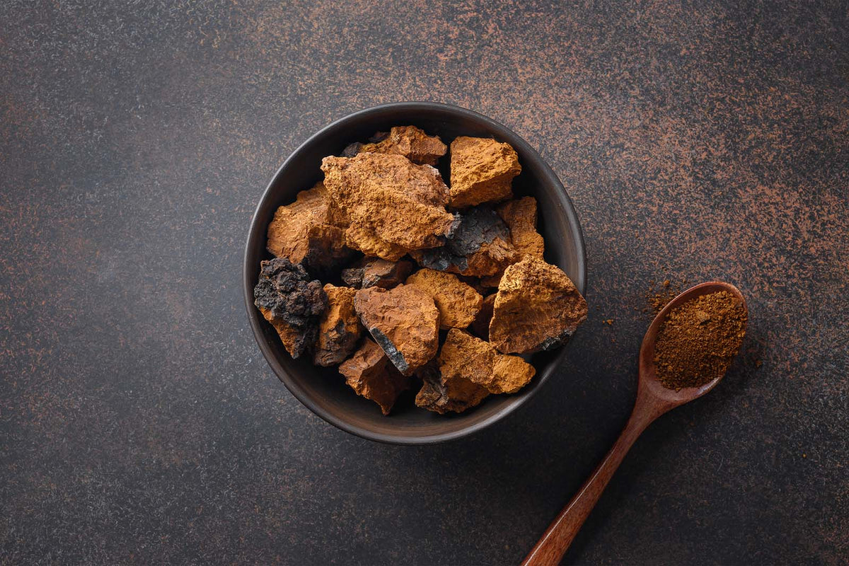 Chaga