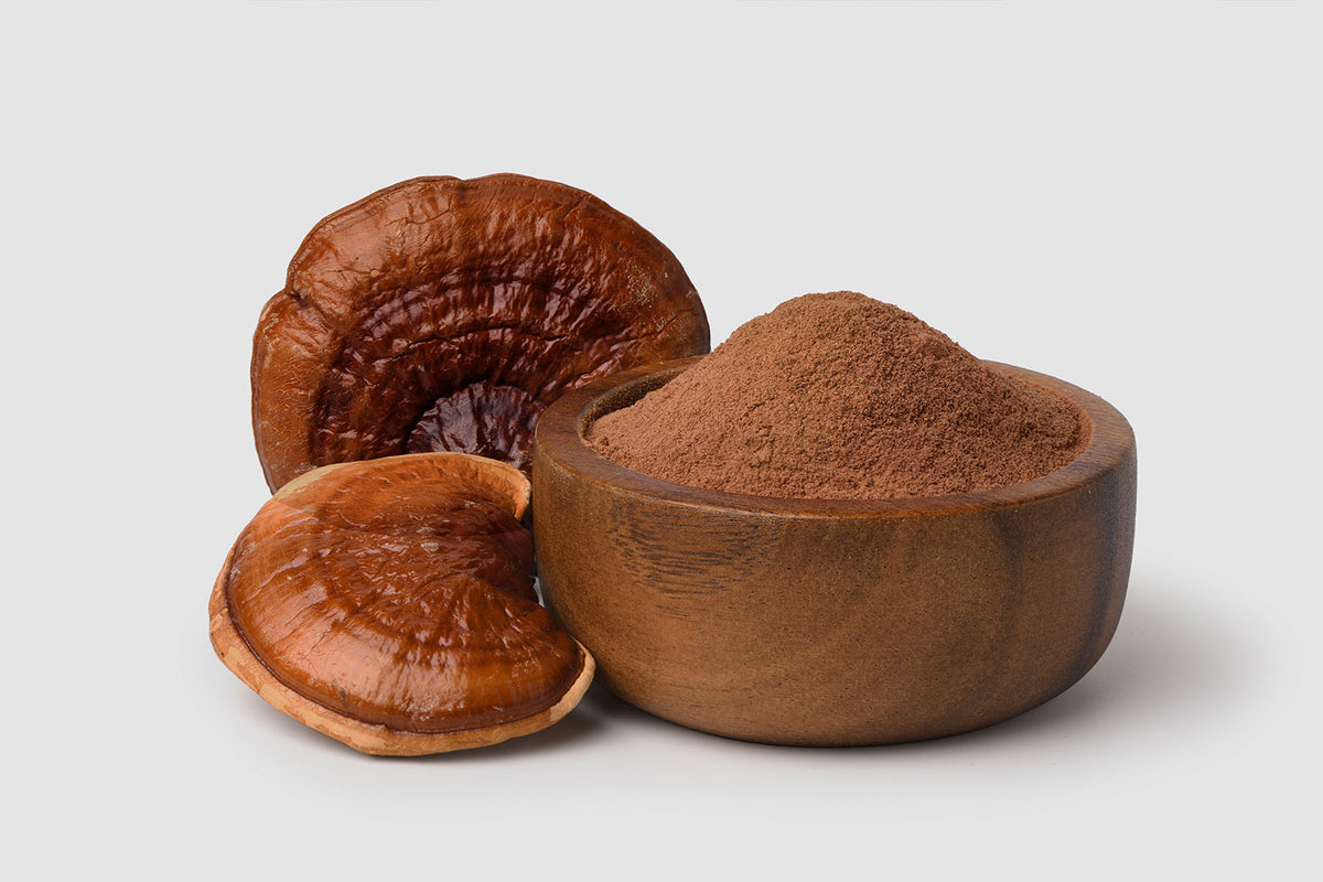 Reishi Wirkung: In der Wissenschaft und der traditionellen Medizin