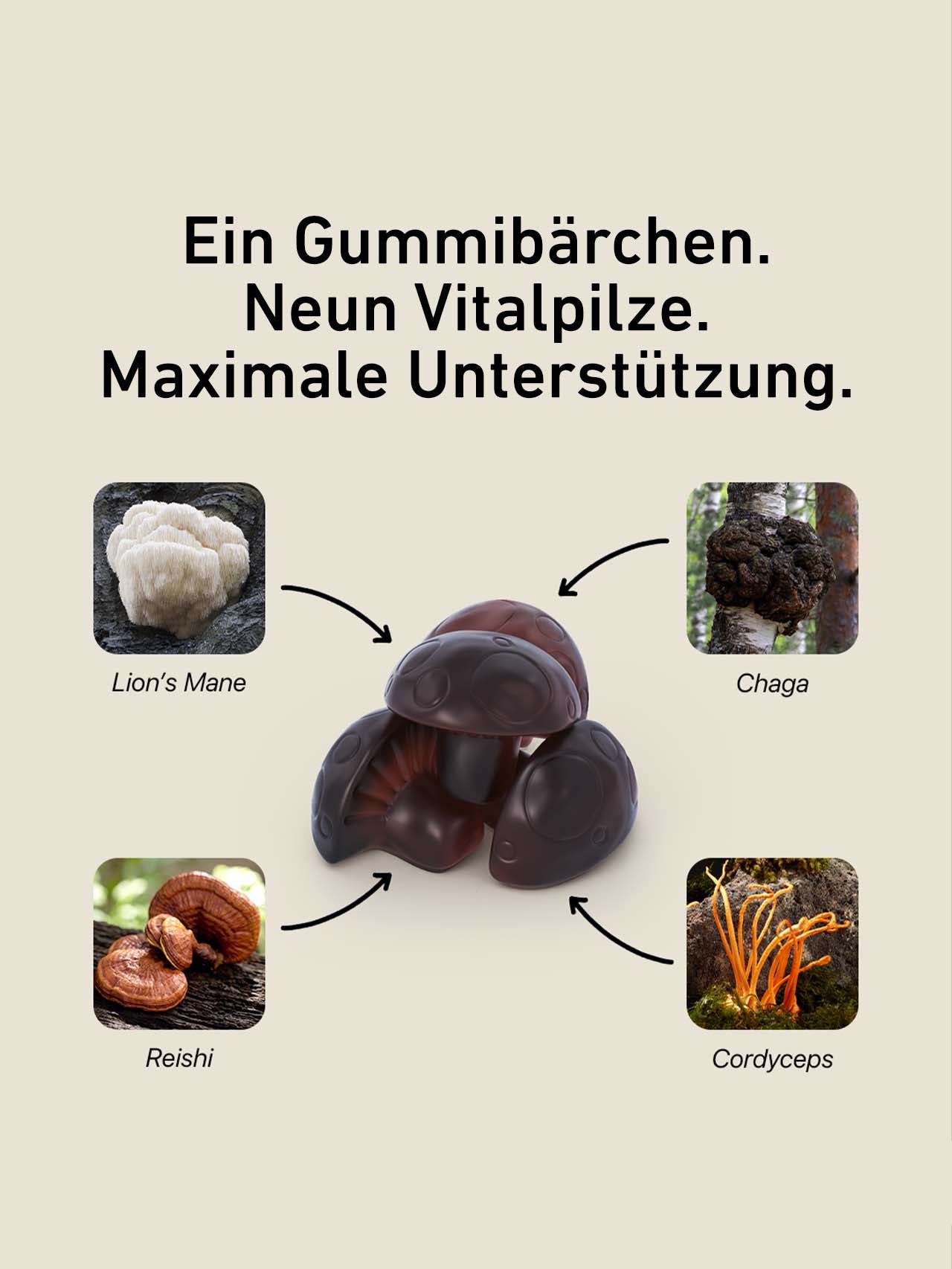 Vitalpilz Mind Gummies