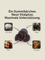 Vitalpilz Mind Gummies