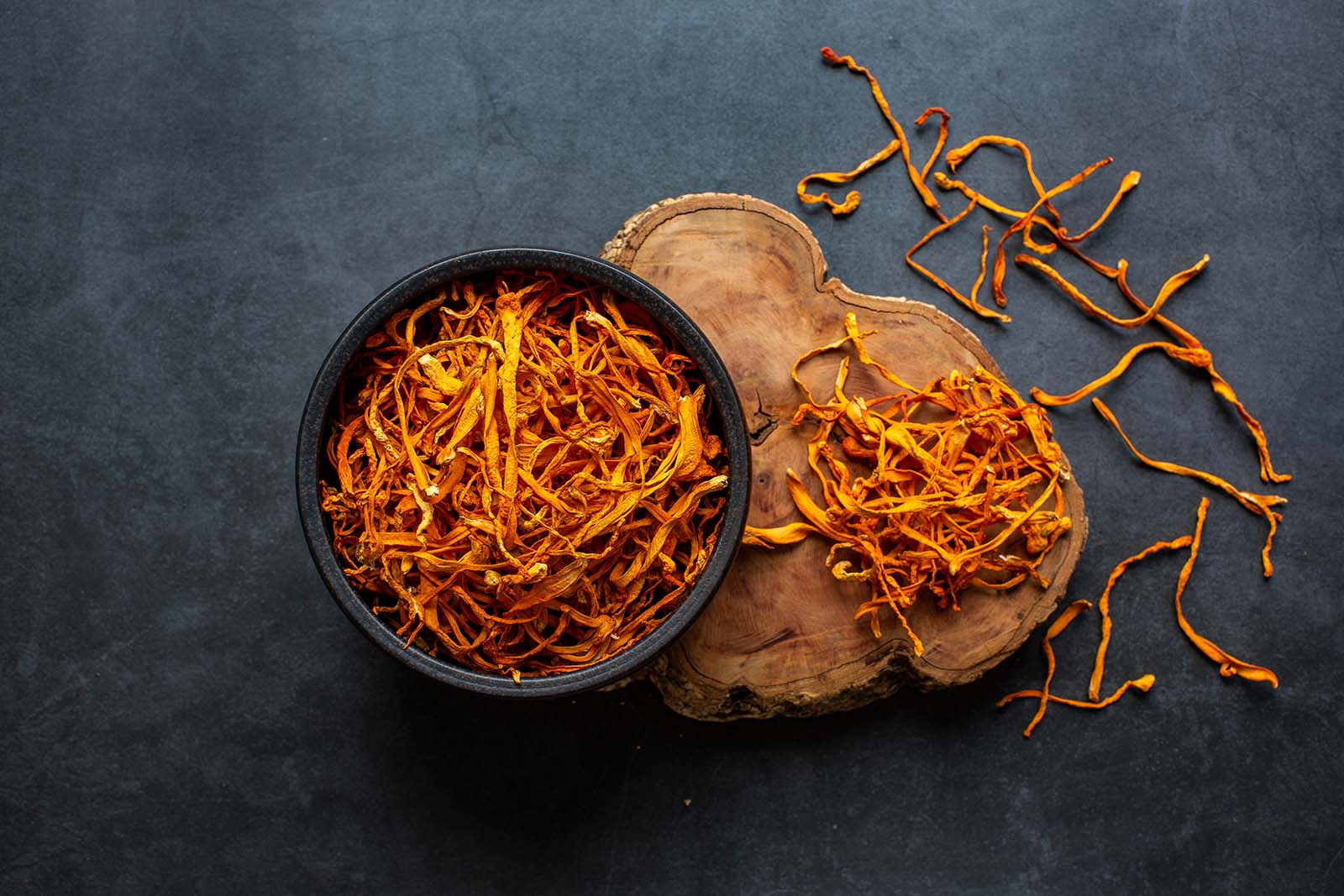 Cordyceps
