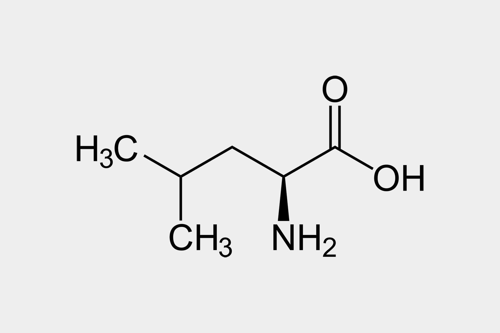 L-Leucin