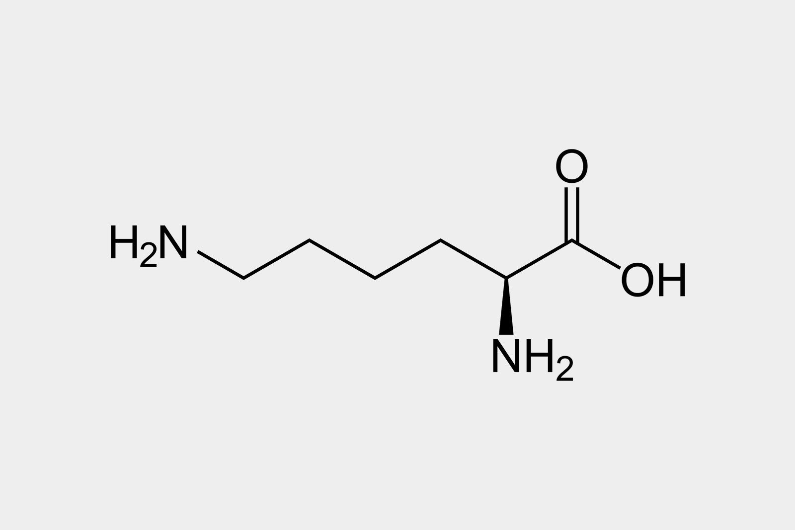 L-Lysin