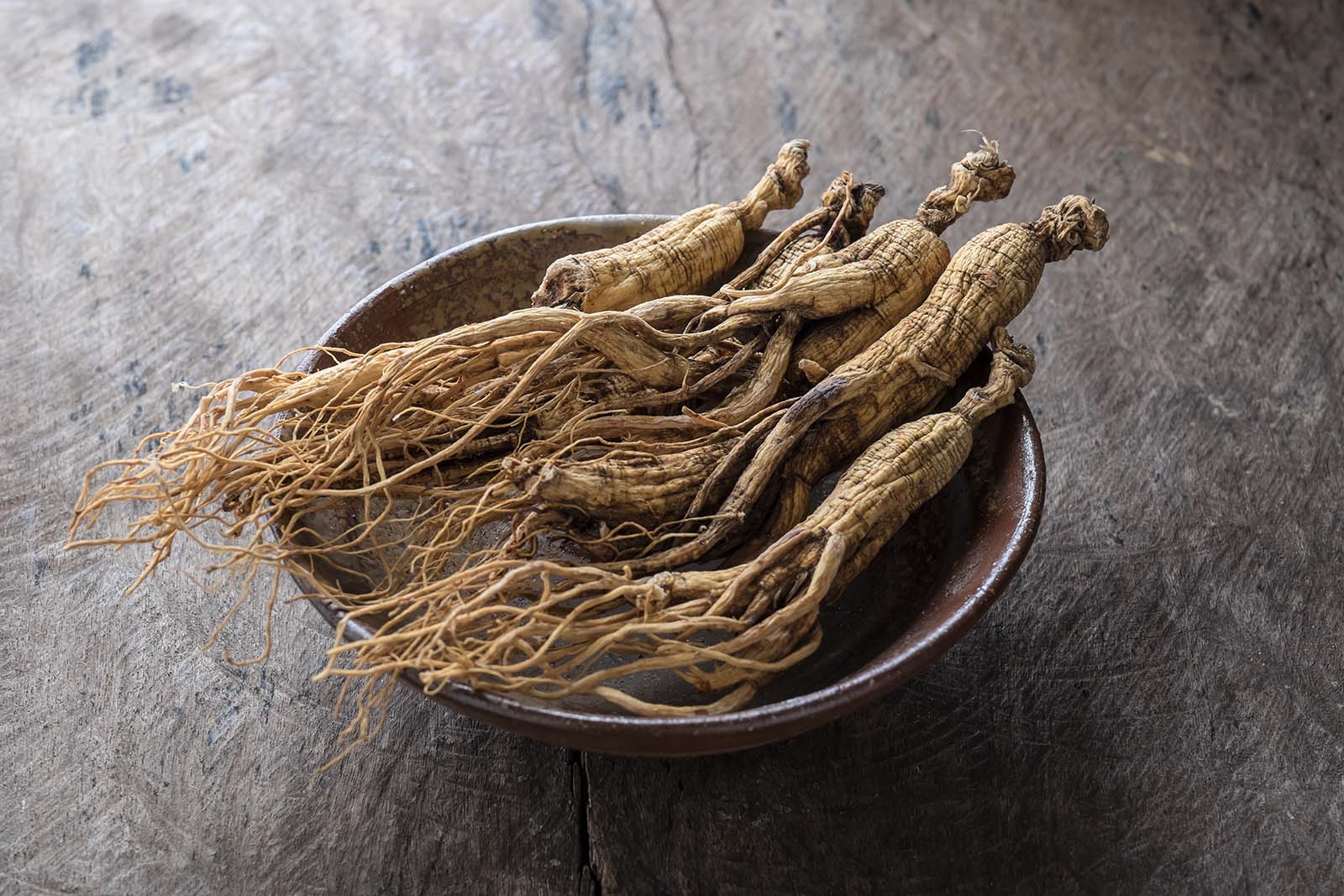 Panax Ginseng