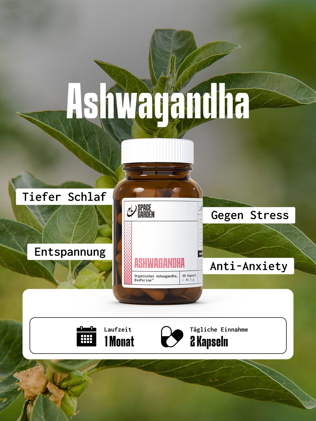 Ashwagandha Kapseln