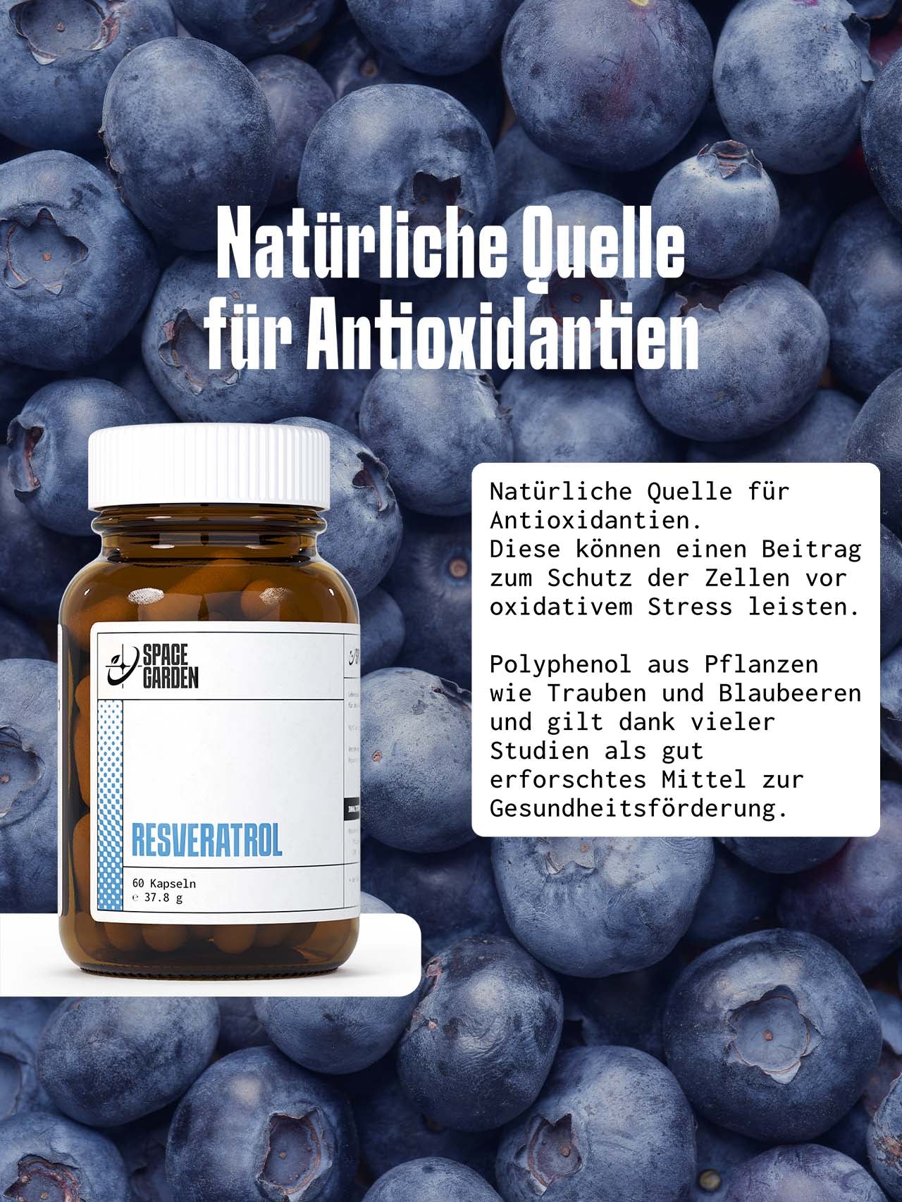 Resveratrol Kapseln