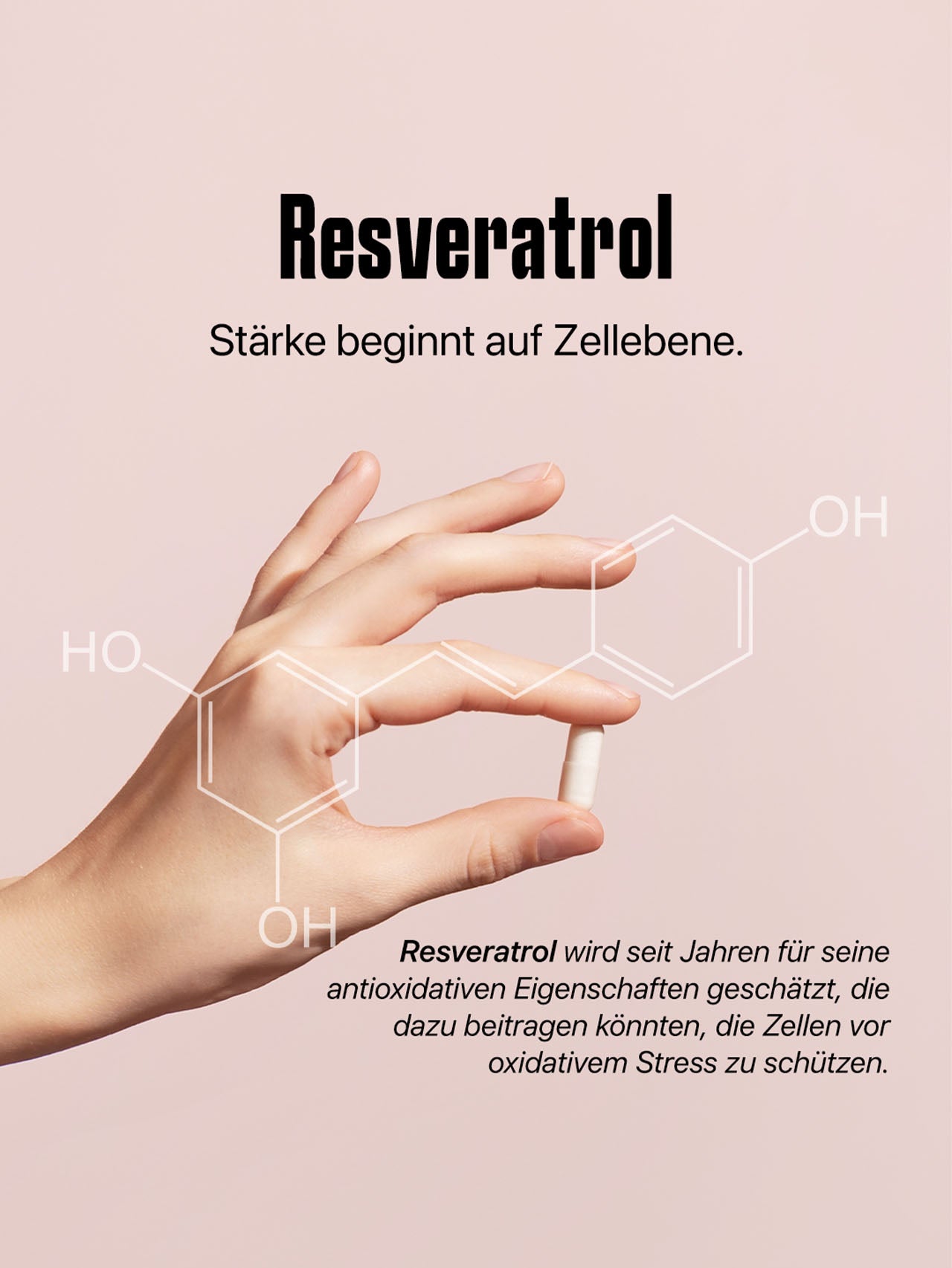 Resveratrol Kapseln