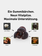 Vitalpilz Mind Gummies